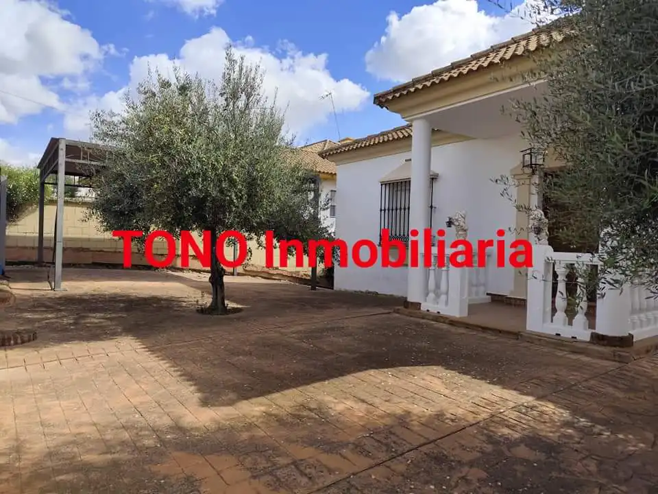 Vista exterior de Casa o xalet en venda en Écija amb Jardí privat, Terrassa i Piscina