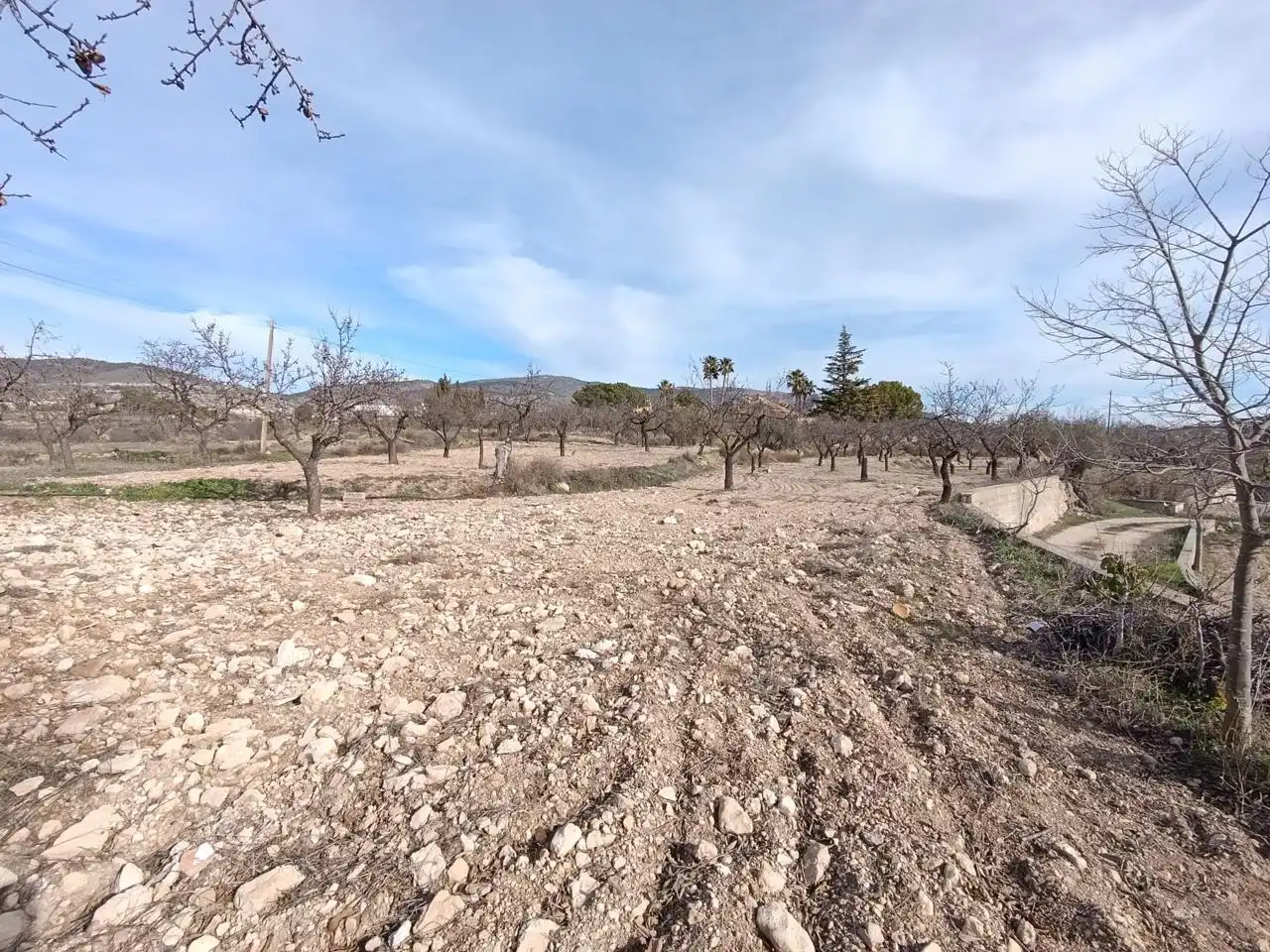 Finca rústica en venta en Ibi