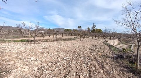 Foto 3 de Finca rústica en venta en Ibi, Alicante