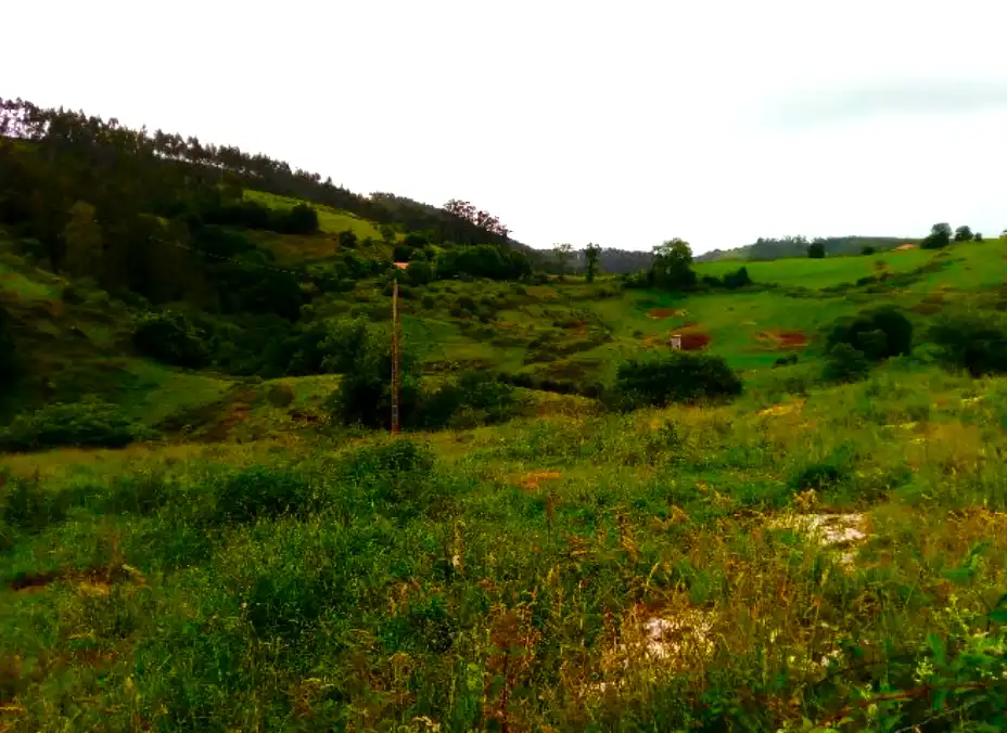 Terreni e lotti in vendita a PARAJE MONTE DEL REY Y EL BURCO -POLIGONO 11, PARC., imagen 12