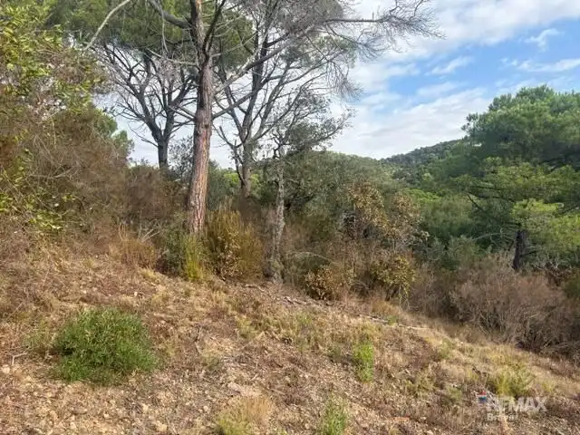 Terrenys i solars en venda a Calle CL HORT VELL, imagen 11