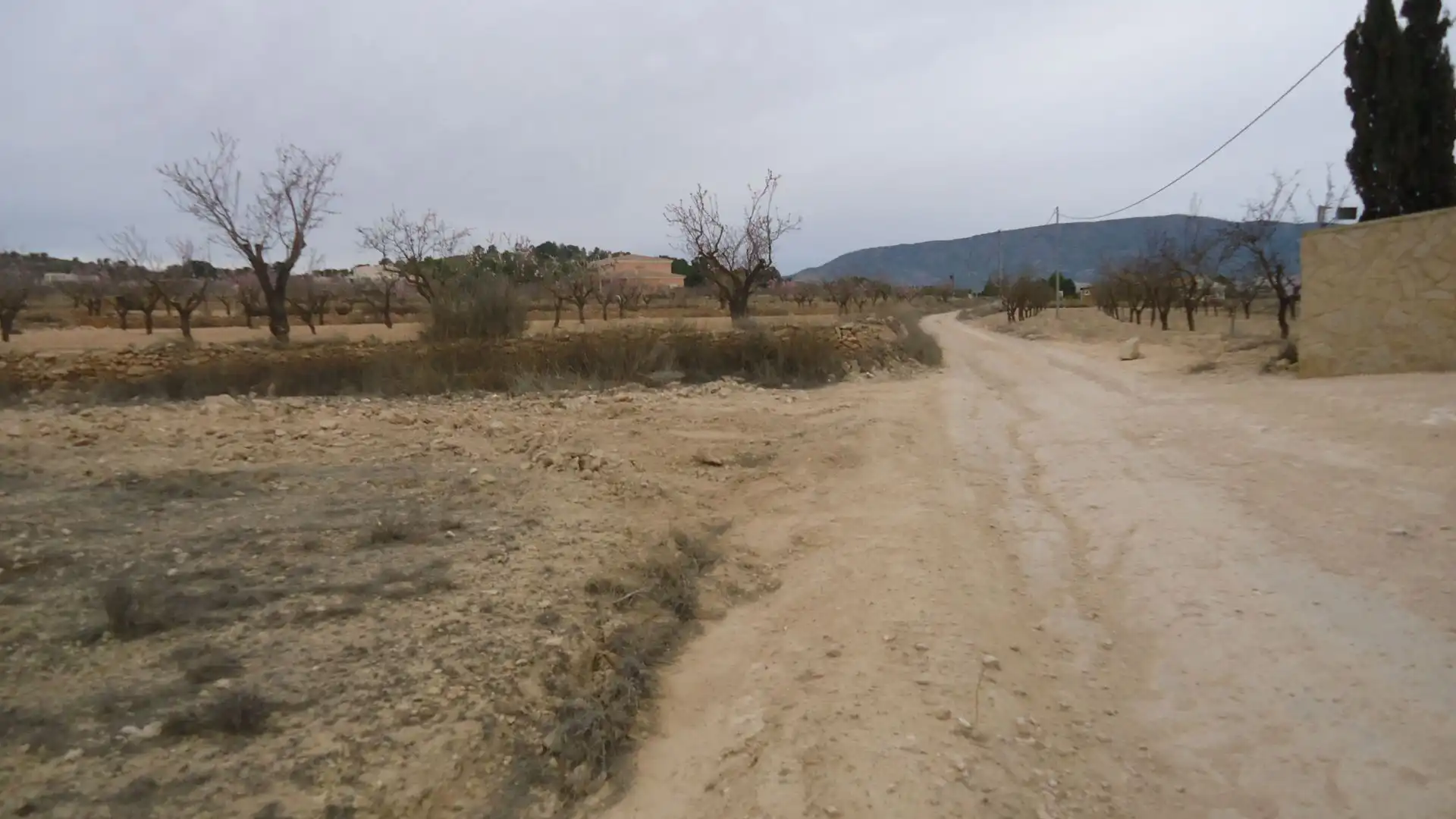 Terreno rústico en venta en El Pinós / Pinoso, imagen 3