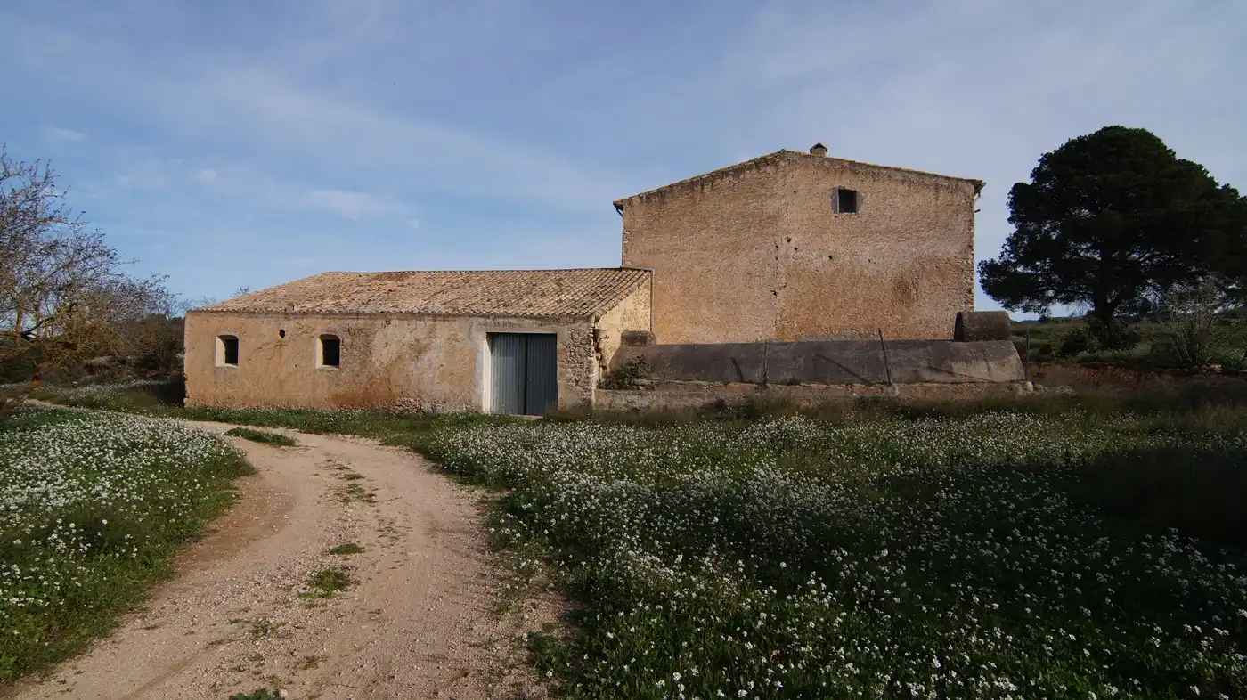 Vista exterior de Terreno en venta en Tivissa