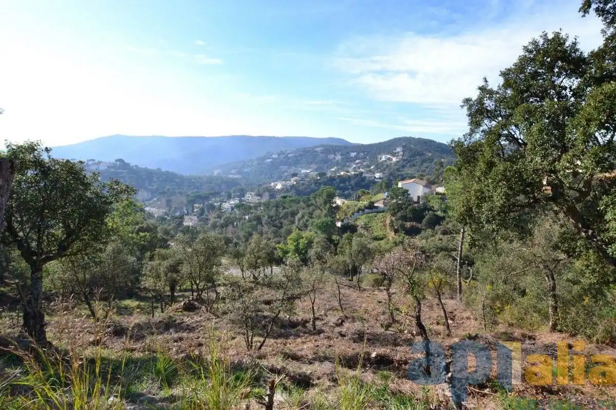 Residential land for sale in Carrer Alzina