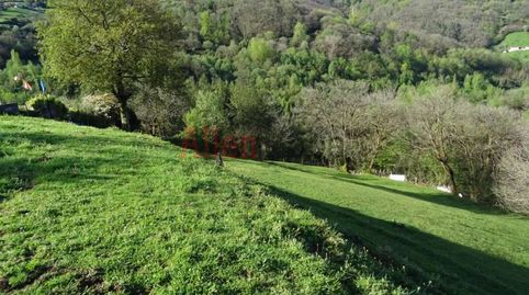 VENTA DE PARCELA EDIFICABLE  INCLINADA  LA MORTERA OLLONIEGO    A 15 MINUTOS DE OVIEDO CAPITAL !!!!, imagen 4