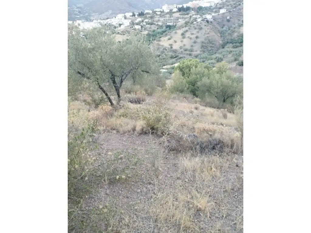 House for sale in Alcaucín, imagen 5