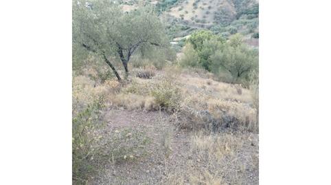 Photo 5 of House or chalet for sale in Alcaucín, Málaga