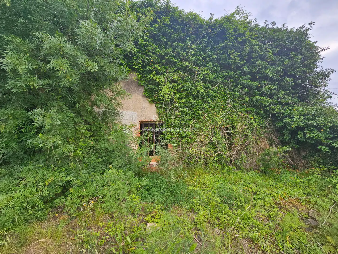 Country house zum Verkauf in Maçanet de la Selva