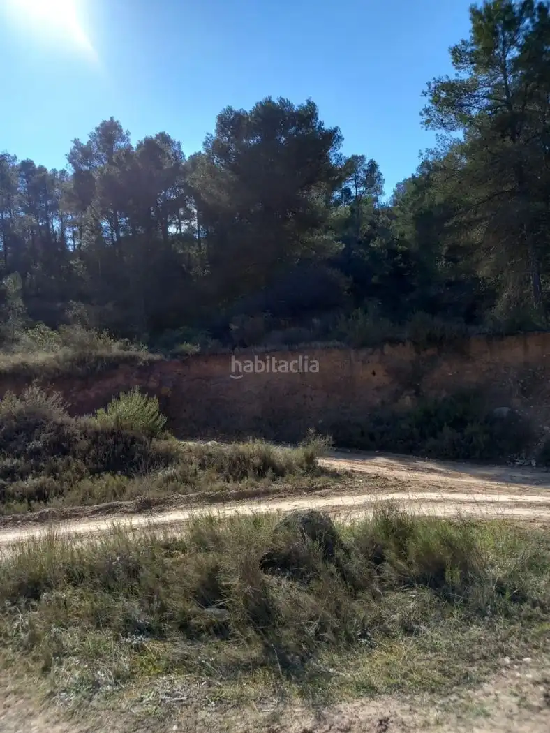 Rustikales Grundstück zum Verkauf in Carrer de l'Església 35, imagen 18
