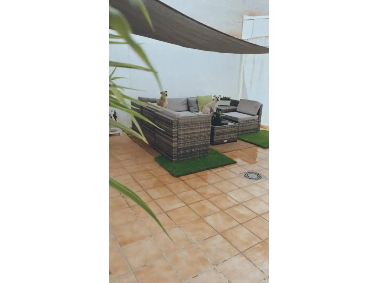 Piso con terraza en venta en Baza, imagen 4