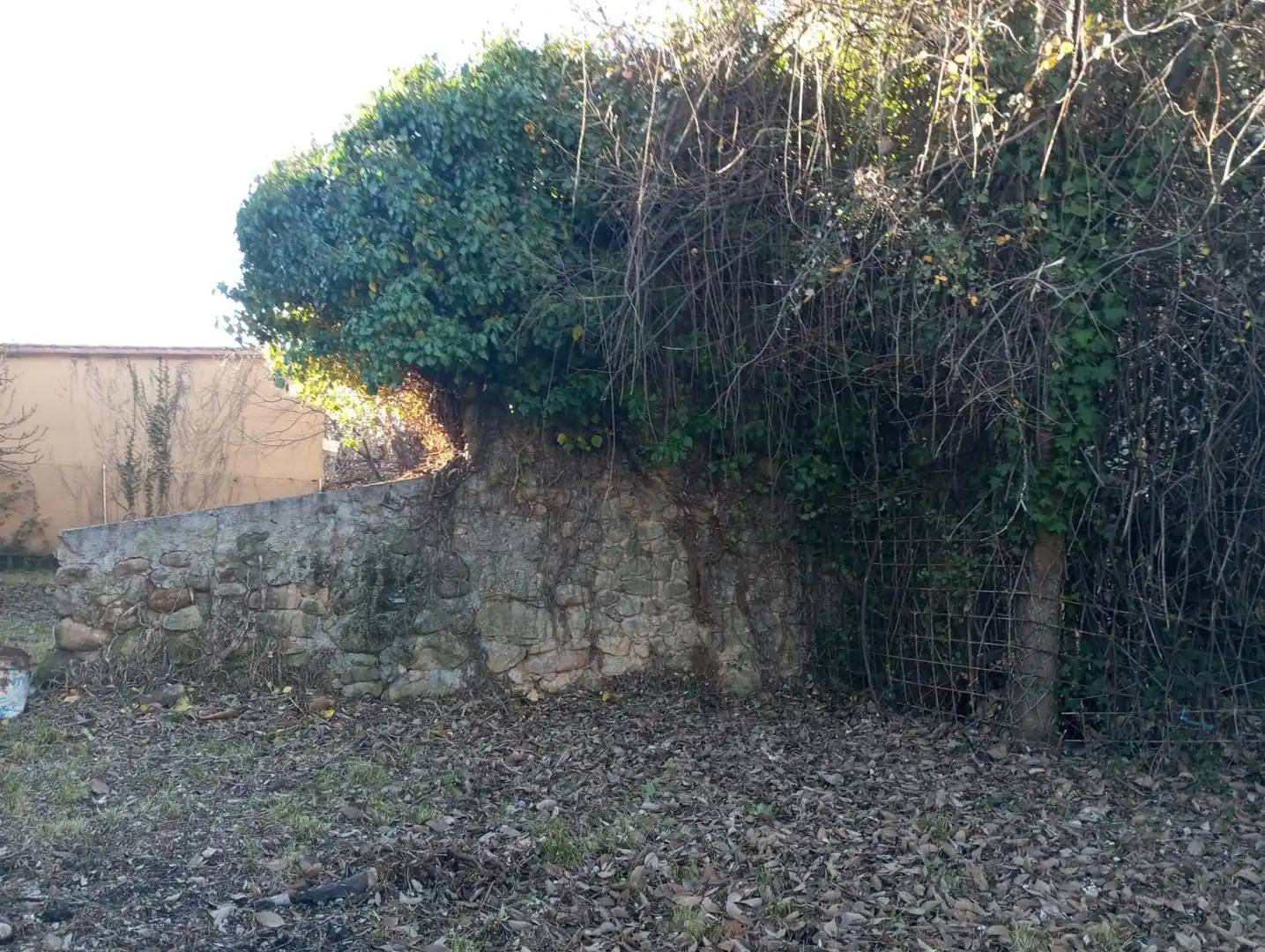 Terreni e lotti in vendita a Calle BURGOS, imagen 17