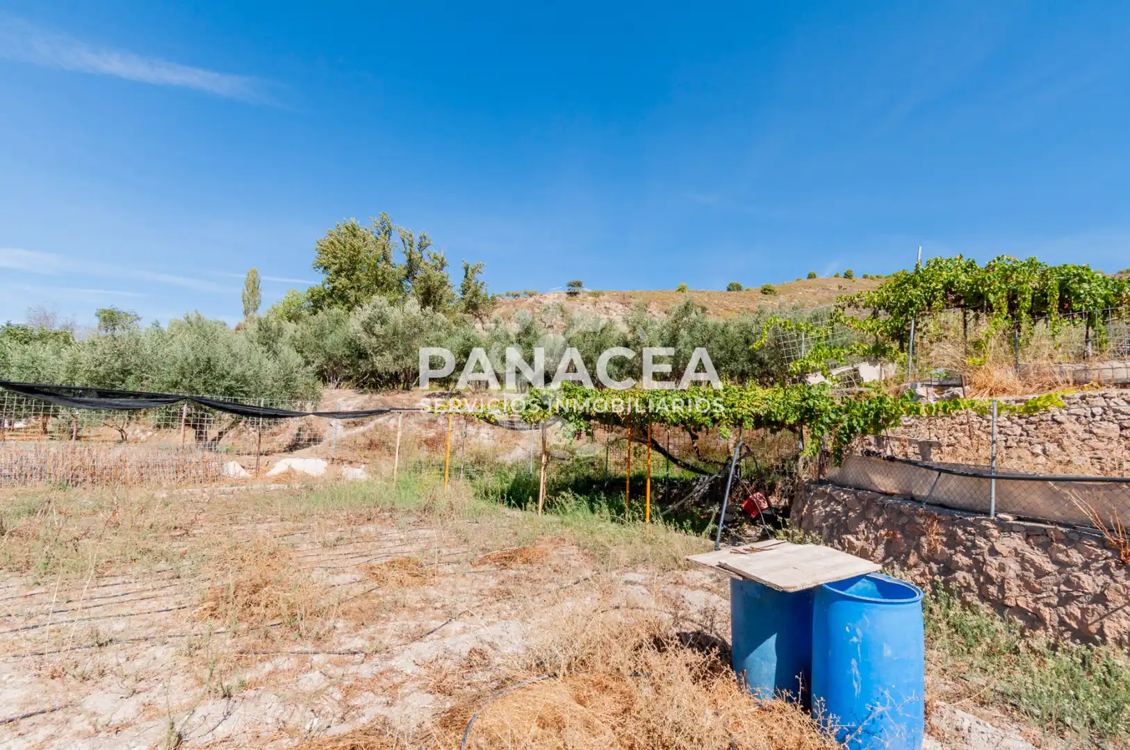Villa mit Garten zum Verkauf in Fondón, imagen 57