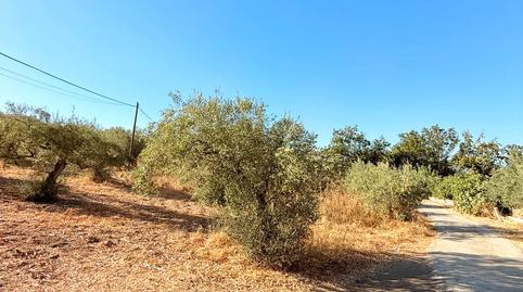 Photo 2 of Country house for sale in Álora, Málaga