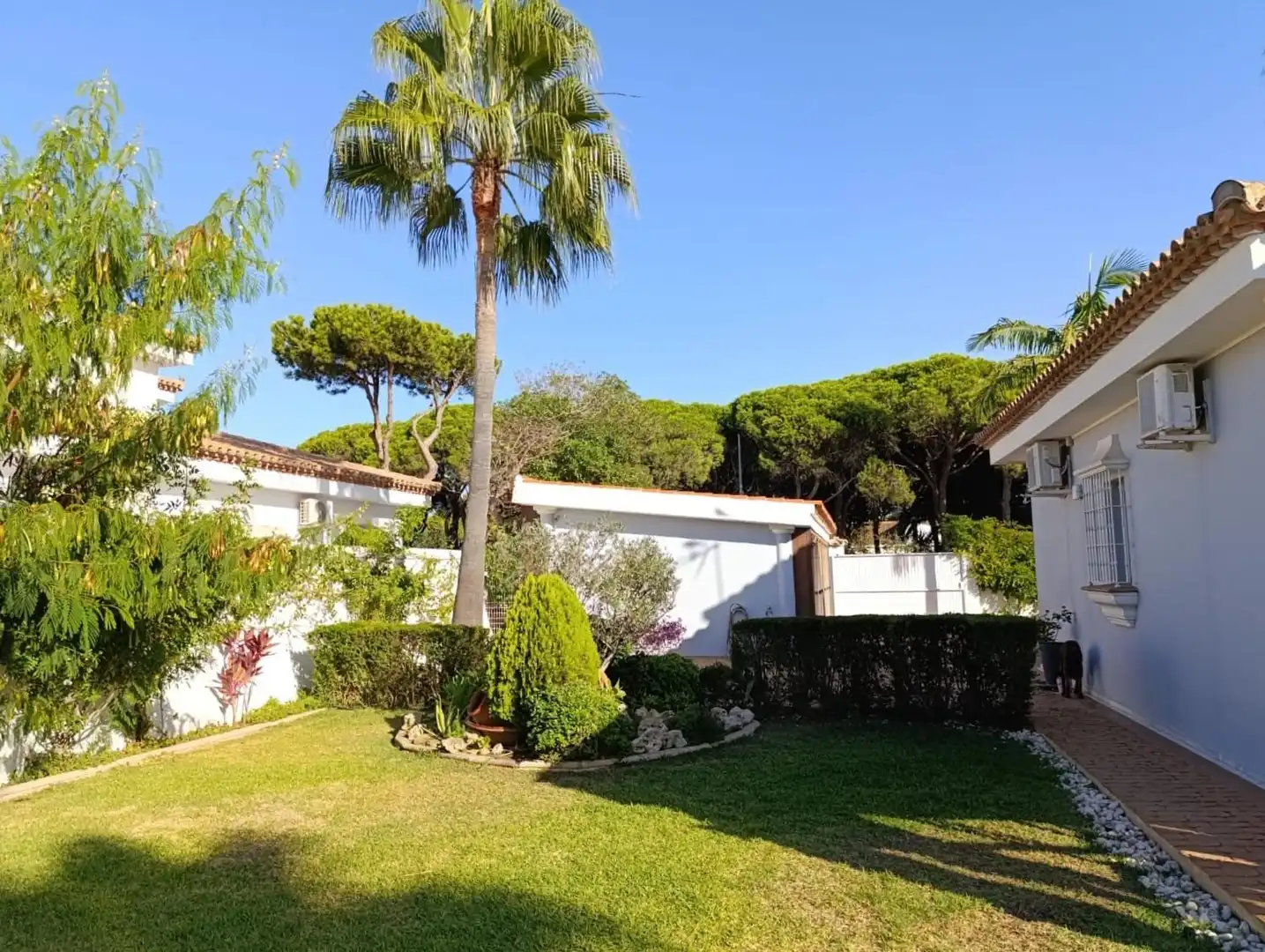 Jardí de Casa o xalet en venda en Chiclana de la Frontera amb Aire condicionat, Jardí privat i Traster