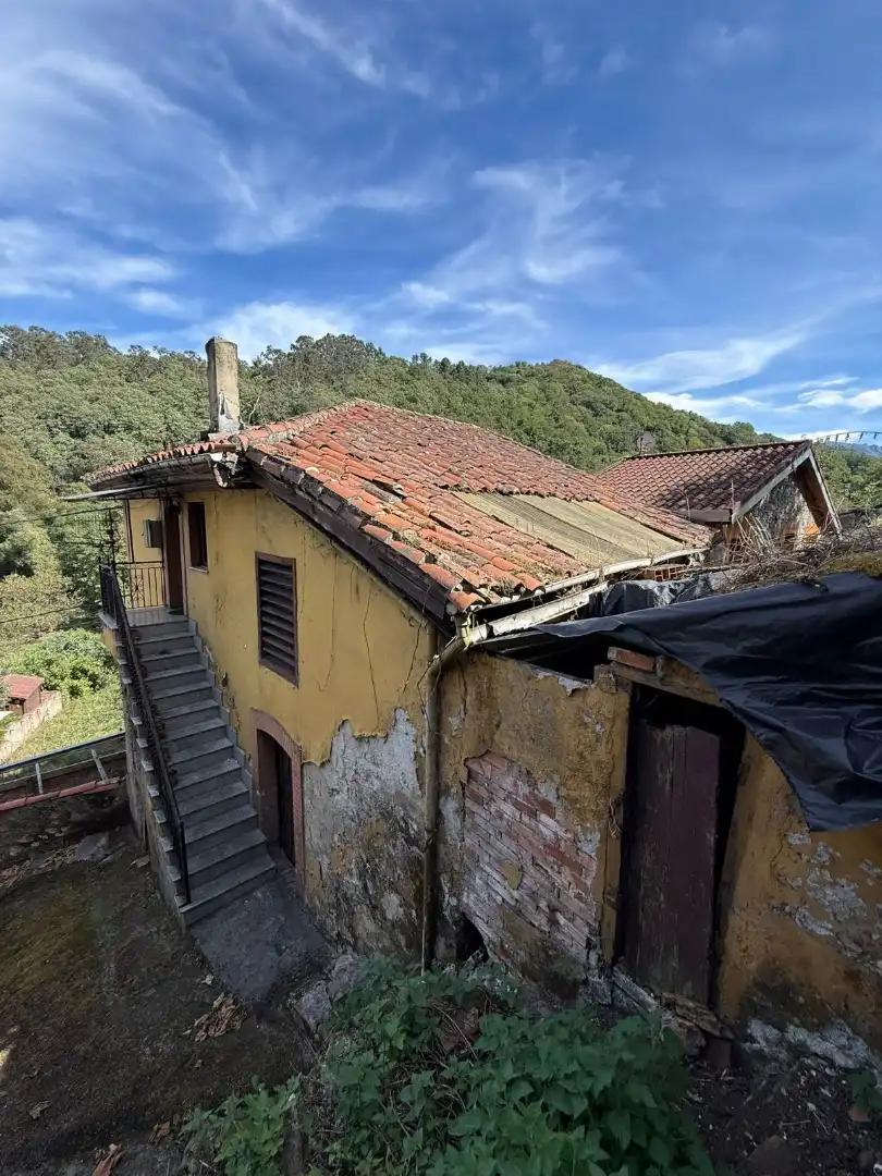 Vista exterior de Casa o chalet en venta en Oviedo  con Jardín privado, Parquet y Trastero