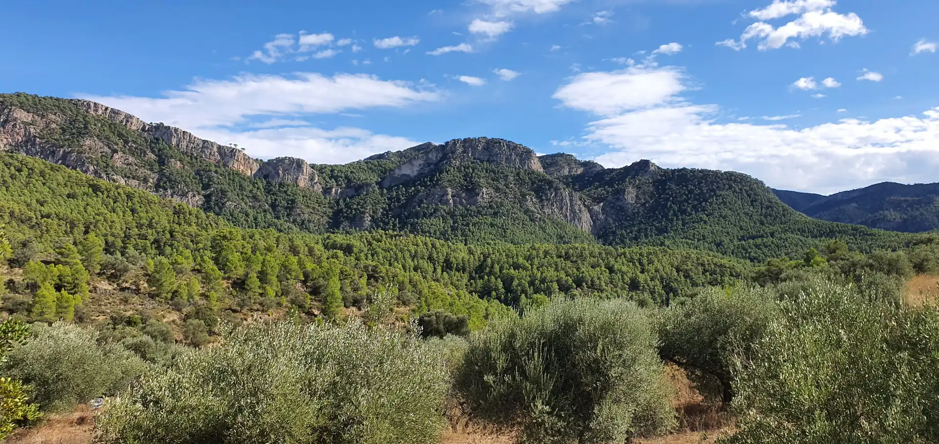 Exterior view of Houses for sale in Benifallet