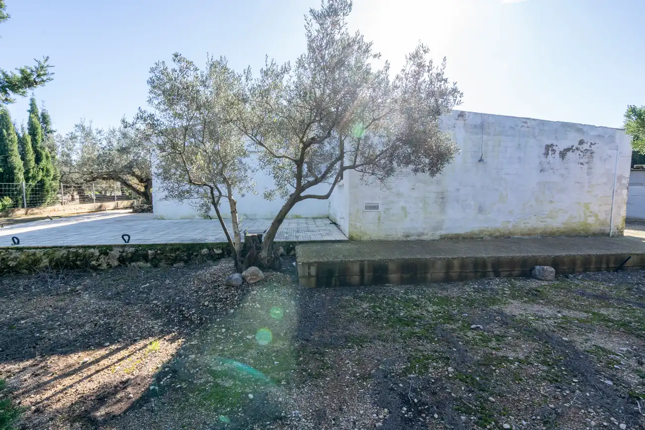 Detached house for sale in Carrer Diego de León 39, imagen 38