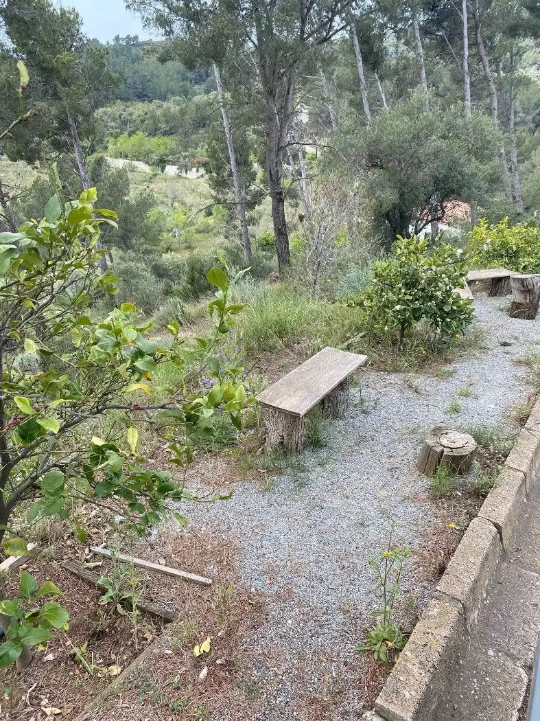Jardí de Edifici en venda en Riudecanyes