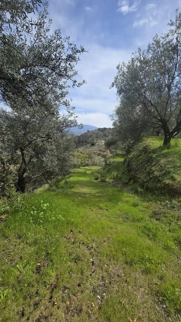 Terreno rustico in vendita a Polígono 11 Parcela 307 EL CERRILLAR. LOS GUAJARES (GRANADA), imagen 3