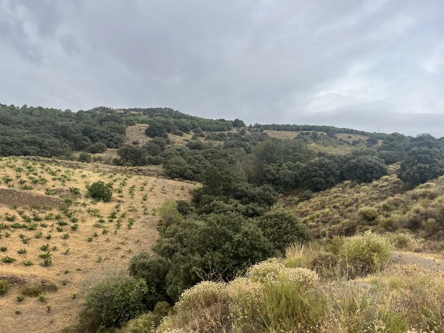 Terreno en venta en La Taha