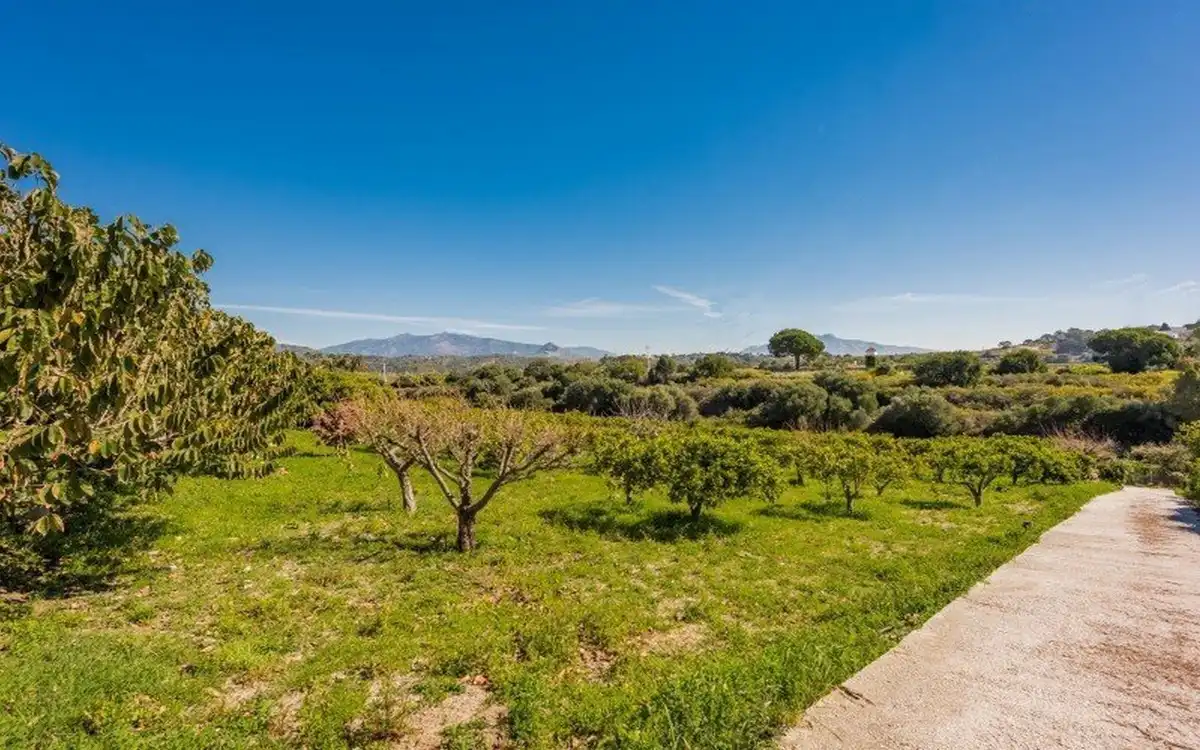 Chalet en venta en Estepona Pueblo, imagen 14
