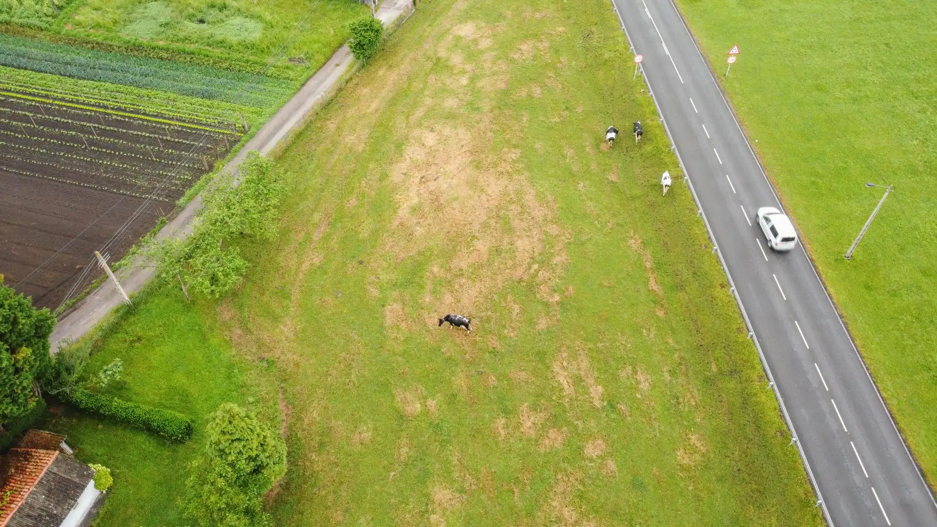 Wohnbaugrundstück zum Verkauf in Carretera CAMPANA LA 12, imagen 32