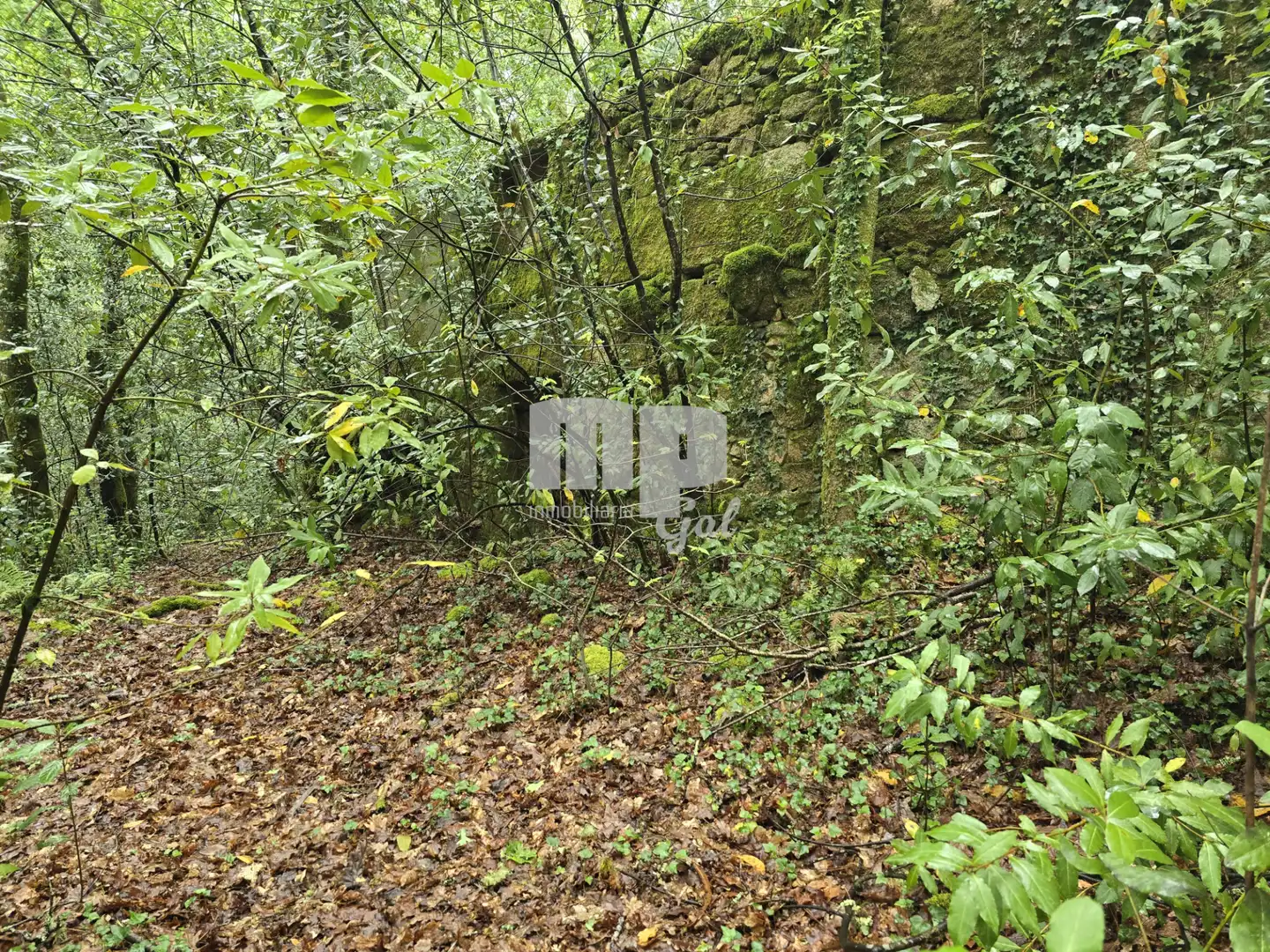 Finca rústica en venda en Mos