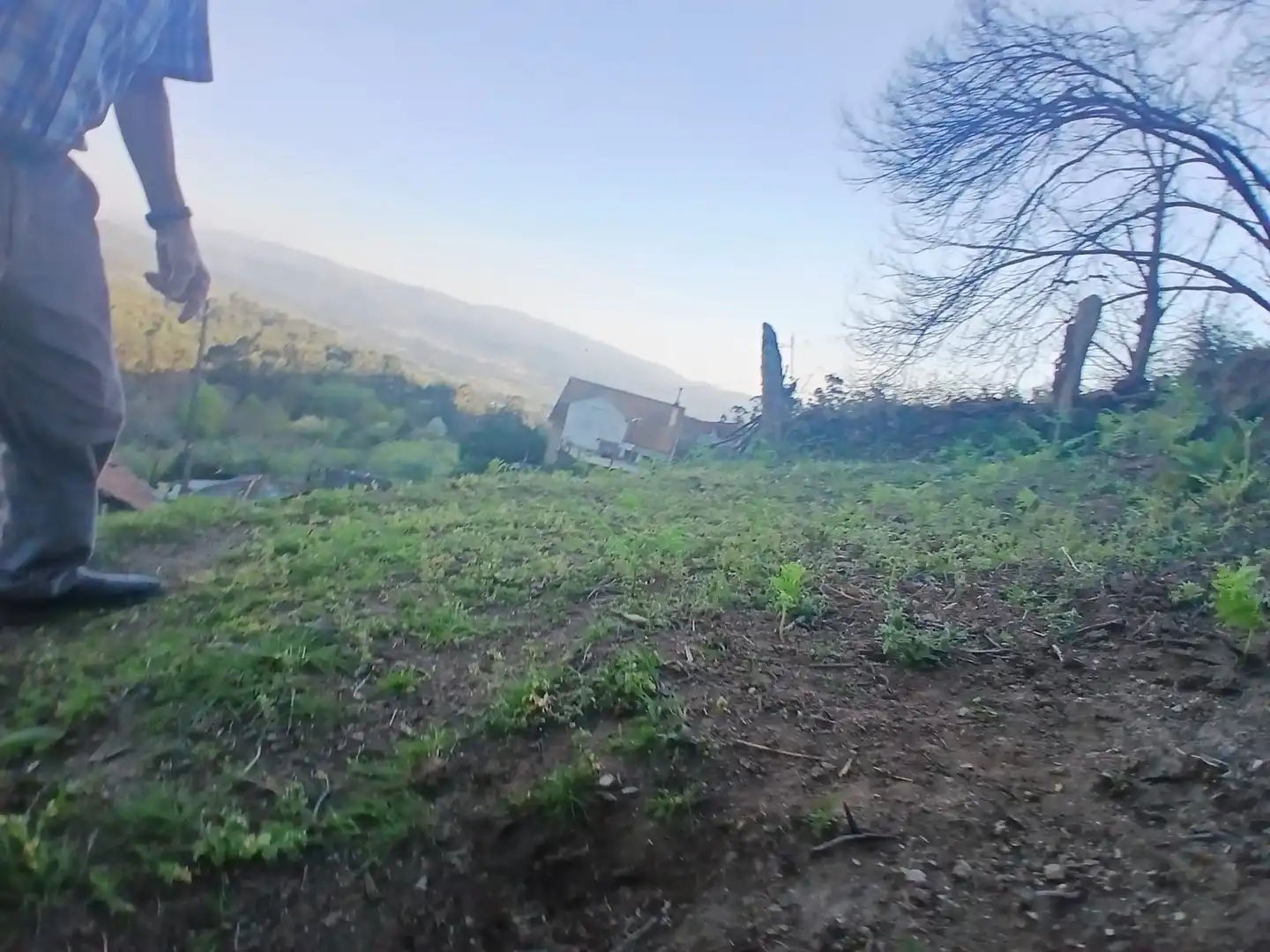 Casa o chalet en venta en As Neves   con Jardín privado