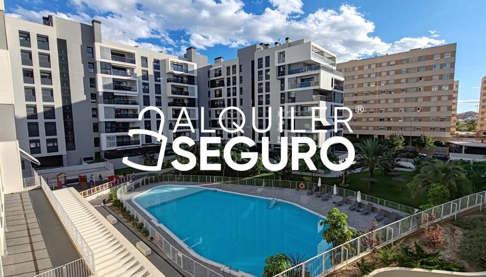 Photo 1 of Flat to rent in Médico Pedro Orts, Paus - Poligono San Blas, Alicante