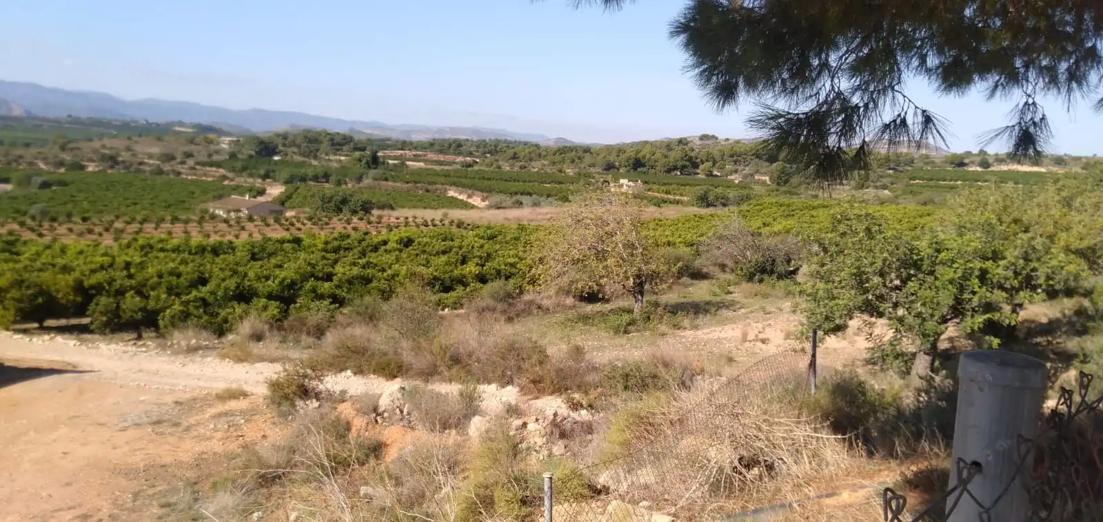 Finca rústica en venta en Pedralba con Jardín privado, Terraza y Trastero