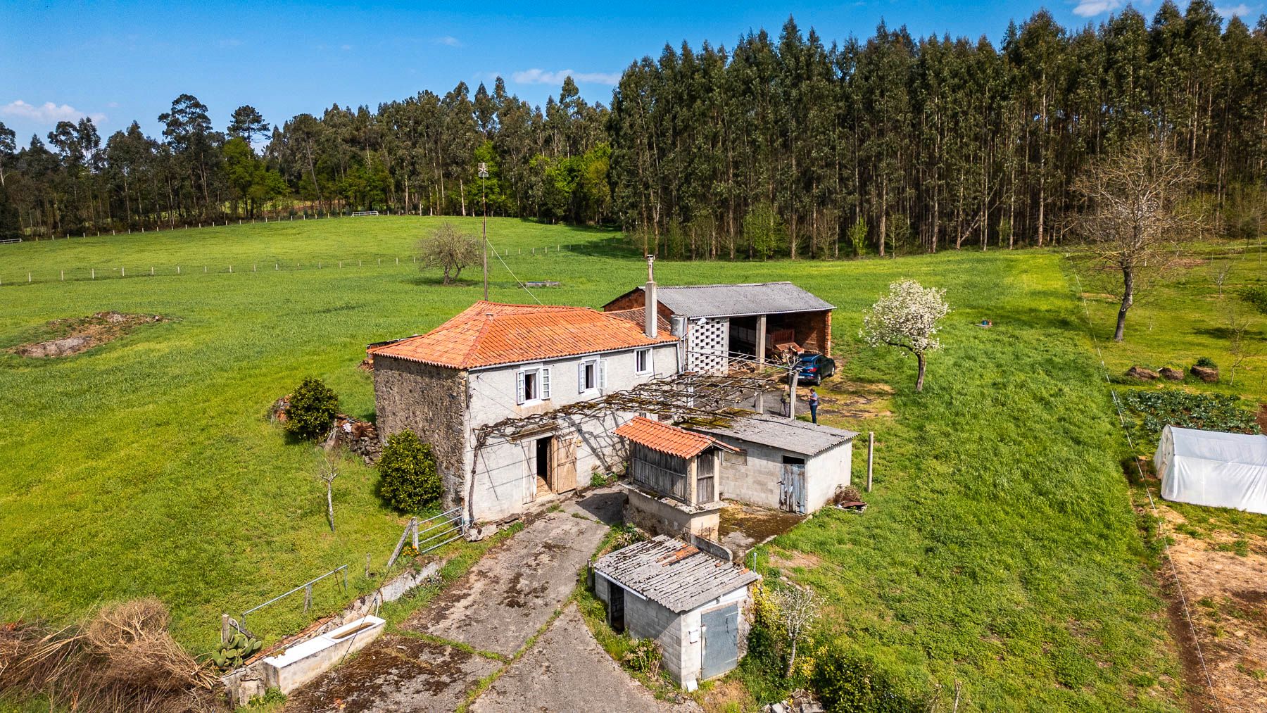 Finca rústica en venda en Santiso