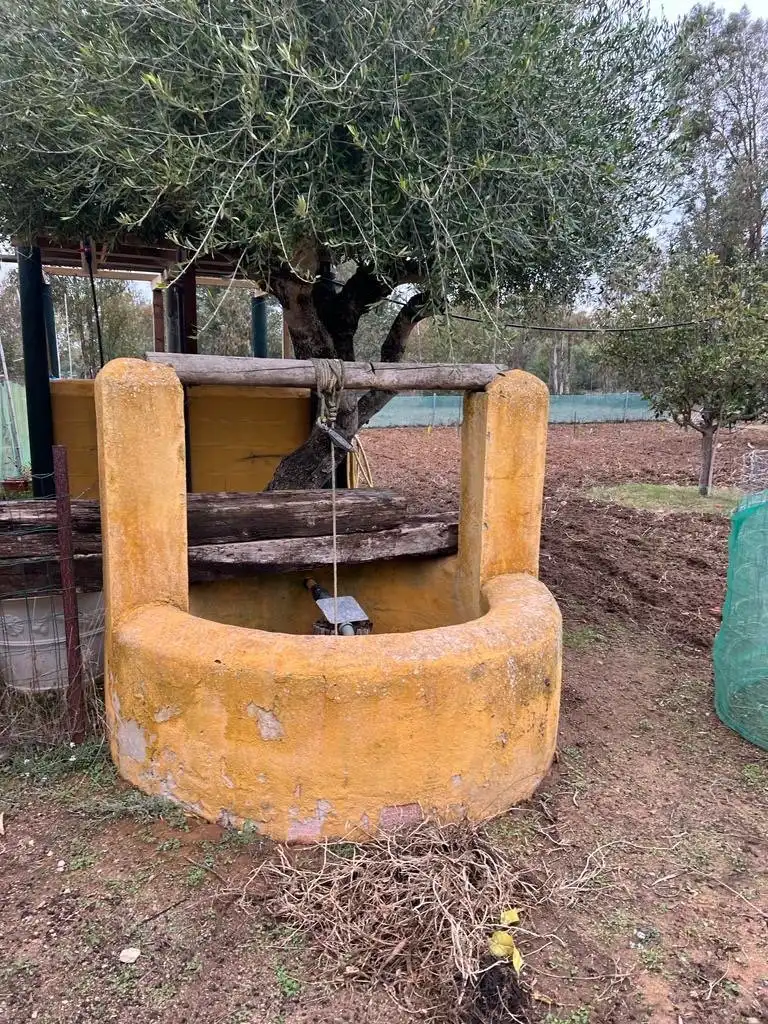 Casa rústica en venda a Benalup-Casas Viejas, imagen 13