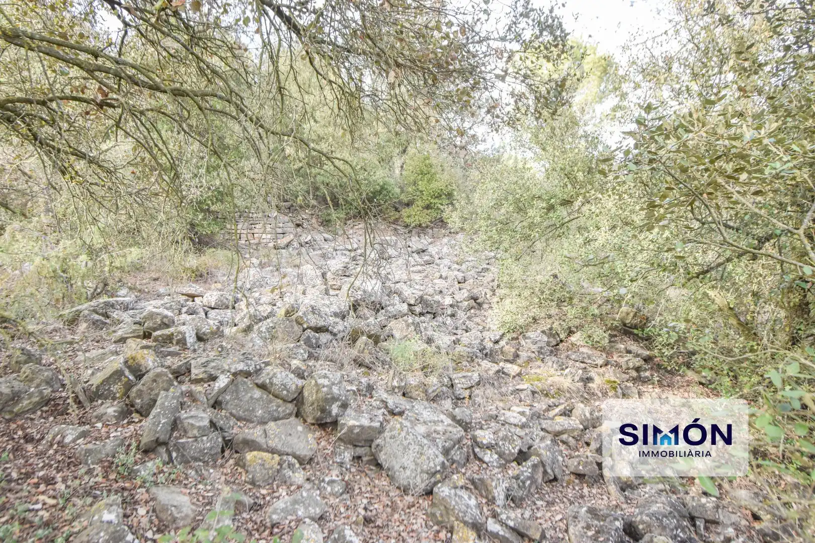 Finca rústica en venta en Veciana