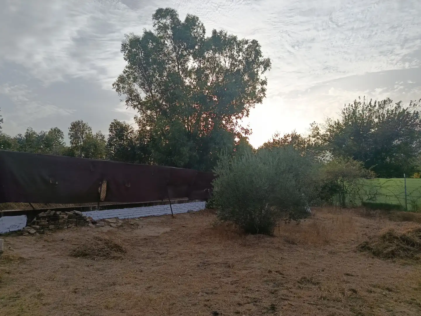 Finca rústica en venda en Hinojos amb Terrassa