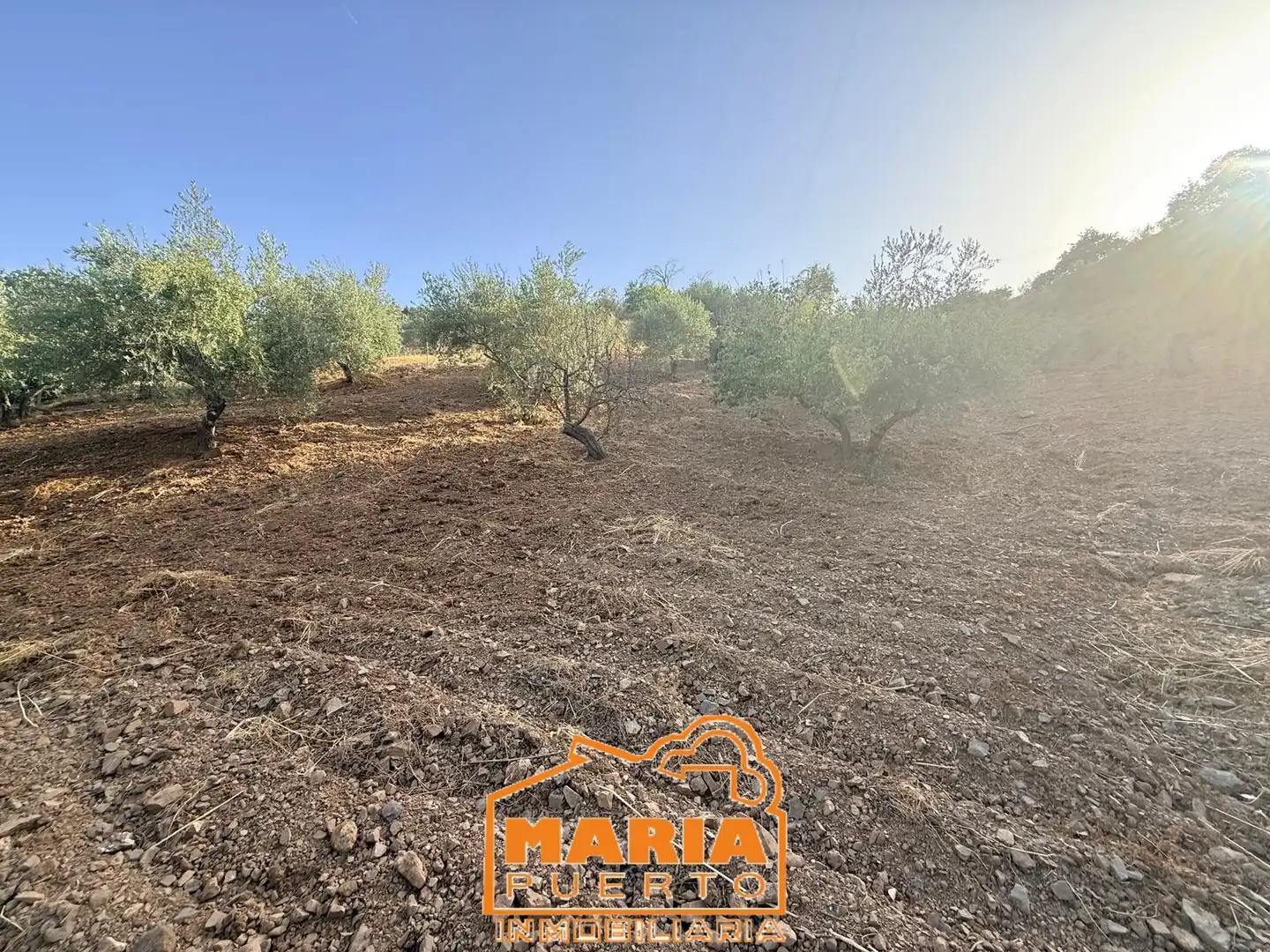 Terreno rustico in vendita a Almogía, imagen 30