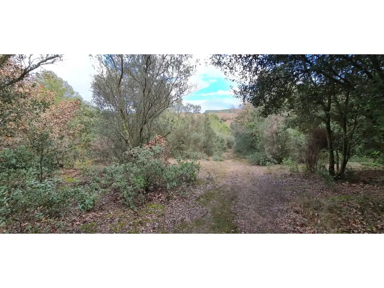 Rural land for sale in Lliçà d'Amunt, imagen 6