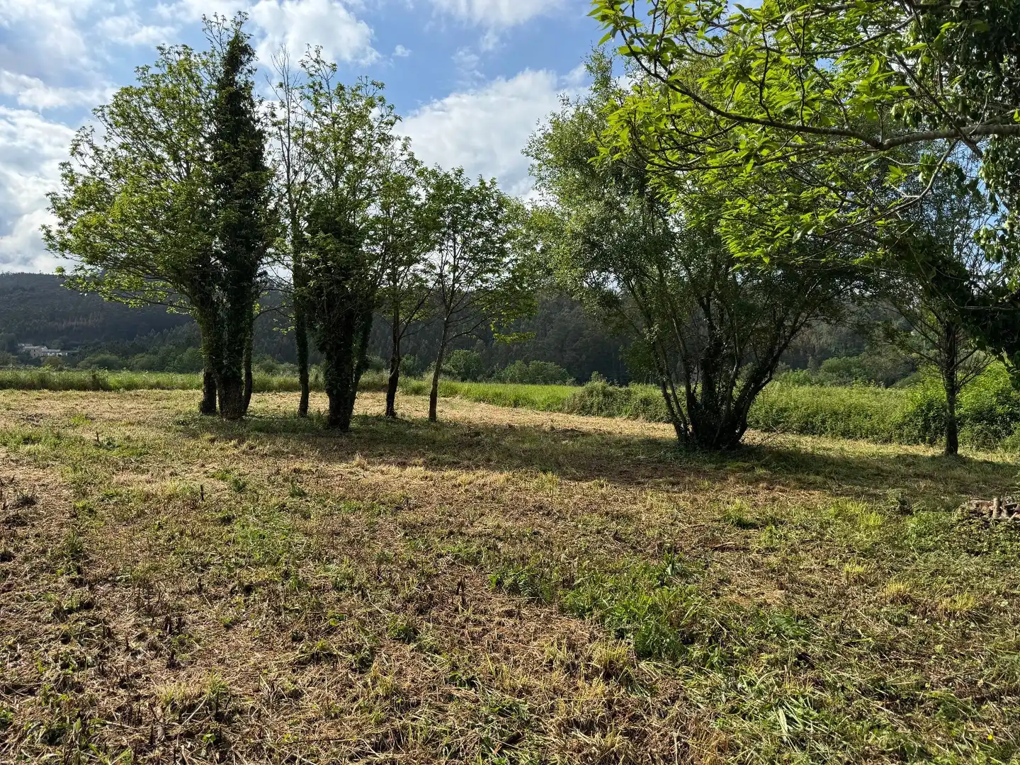 Casa en venta en Santo Andre, imagen 52