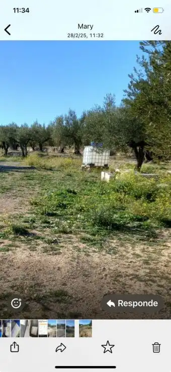 Terreny rústic en venda a Quatretonda, imagen 2