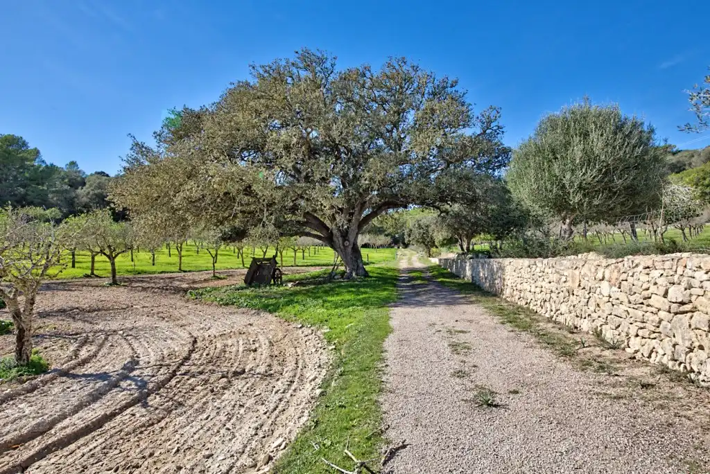 Casa rústica en venta en Montuïri, imagen 24