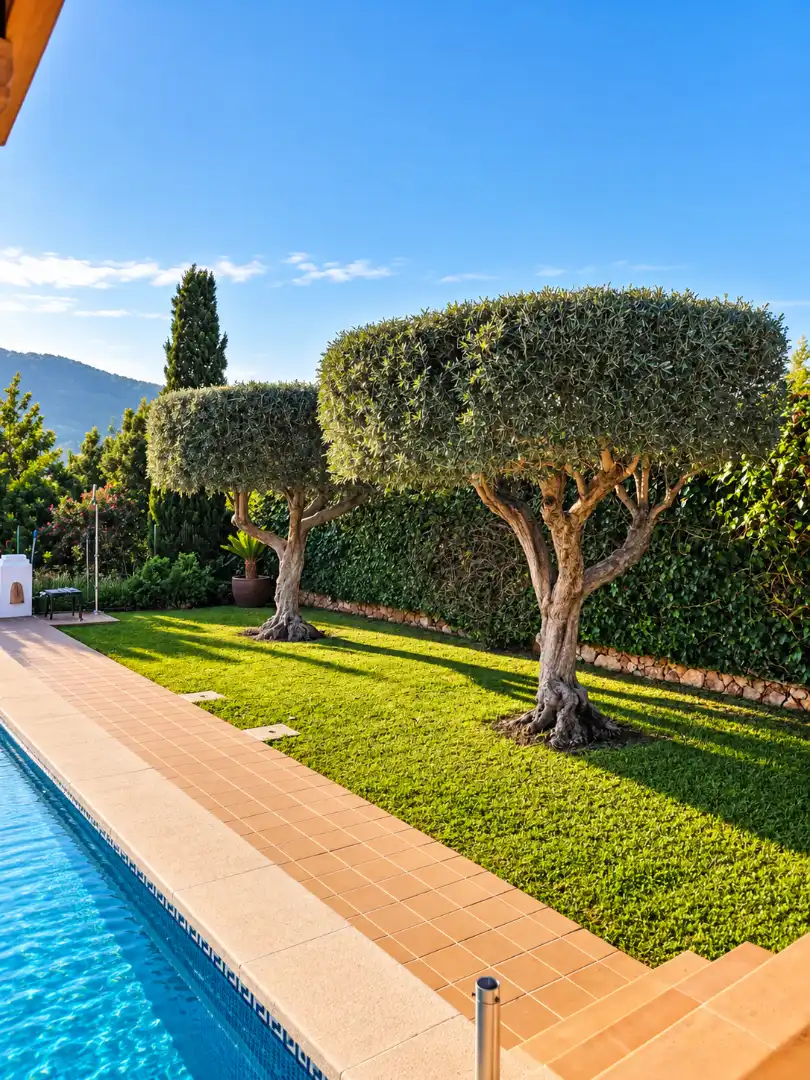 Country house with pool to rent in Port d'Andratx, imagen 55