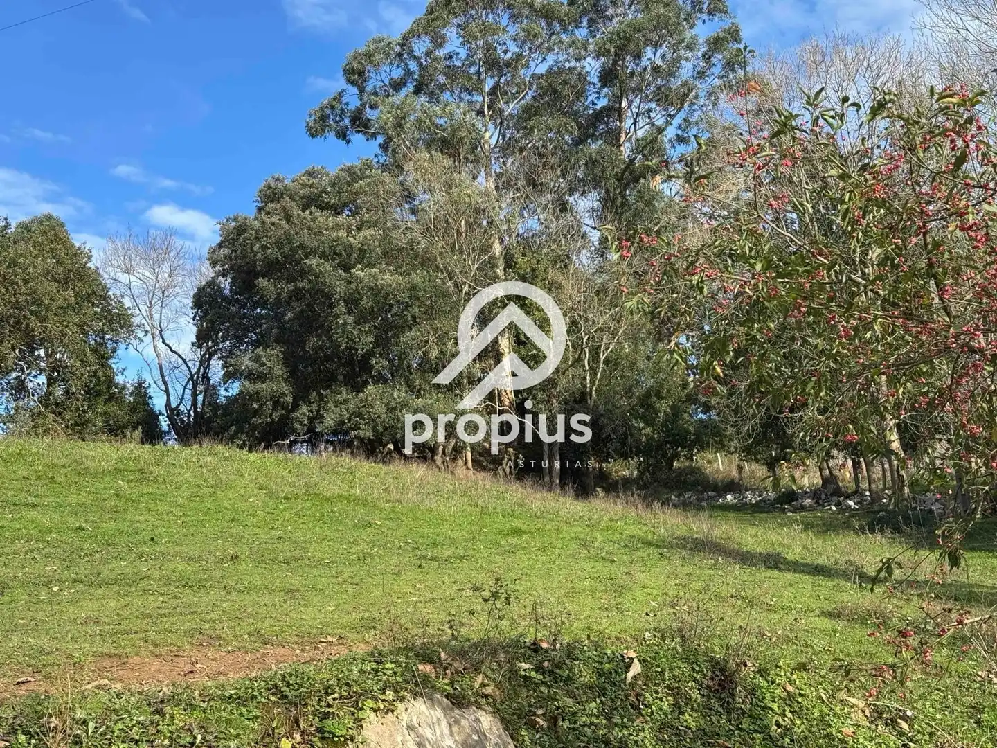 Land for sale in Llanes