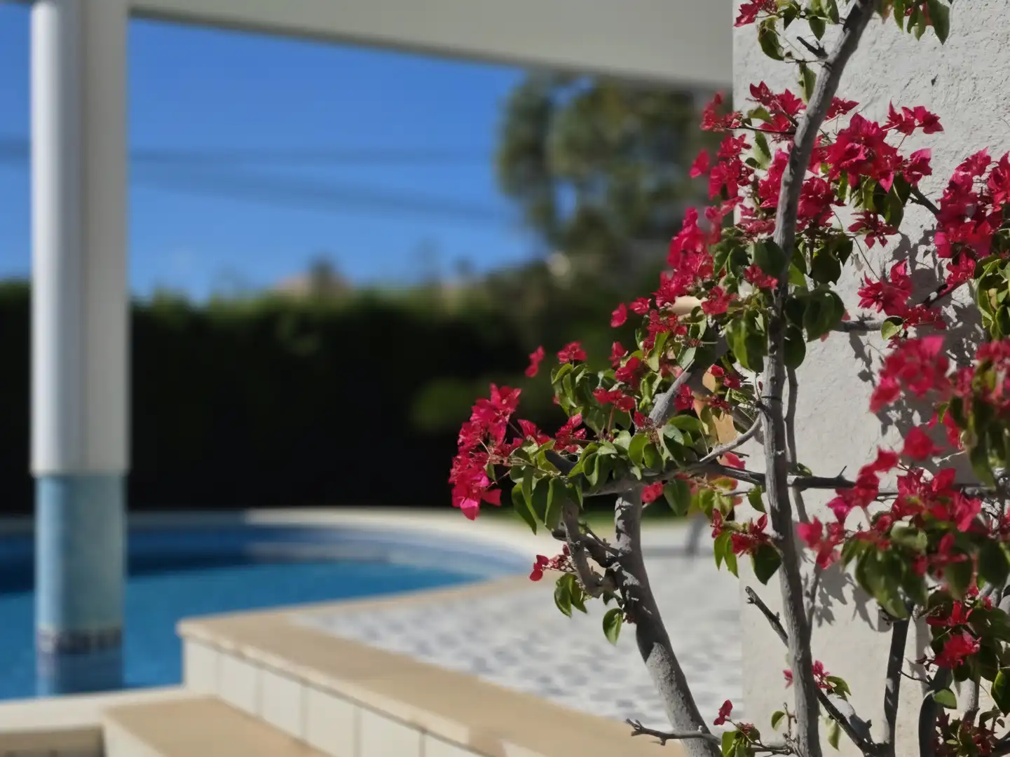 Casa o xalet en venda a TR AMERICA, 17, Torreón - La Almadraba