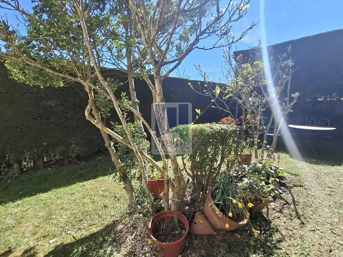Jardín de Casa o chalet en venta en Cardeñajimeno