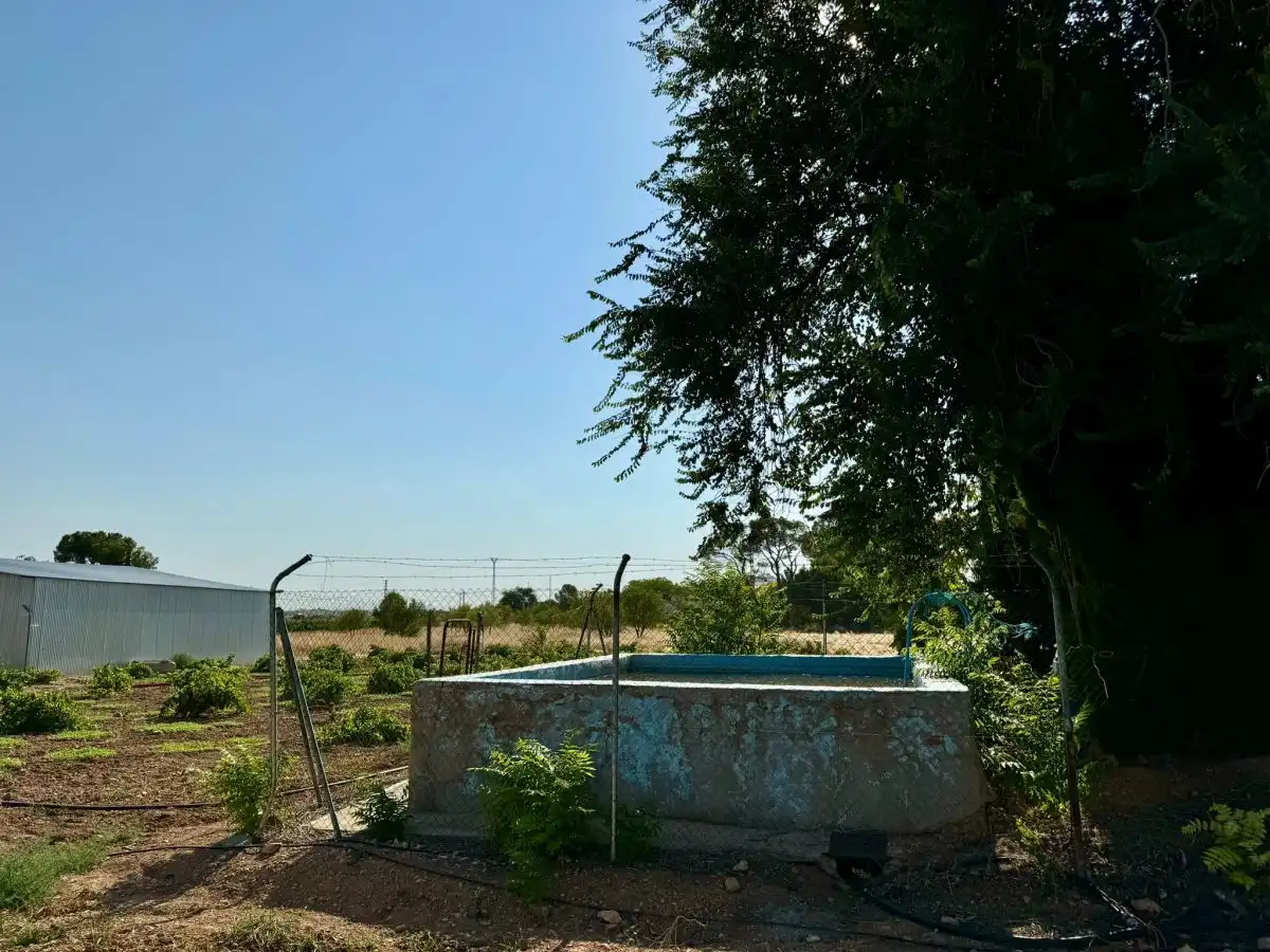 Casa rústica en venda a Valdepeñas, imagen 30