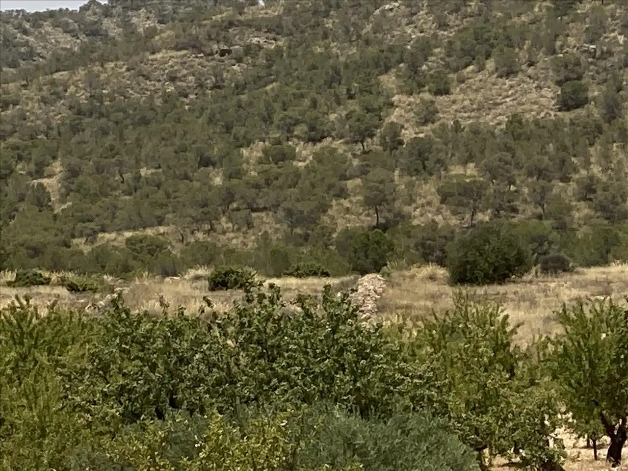 Terrenys i solars en venda a Polígono 4, imagen 9