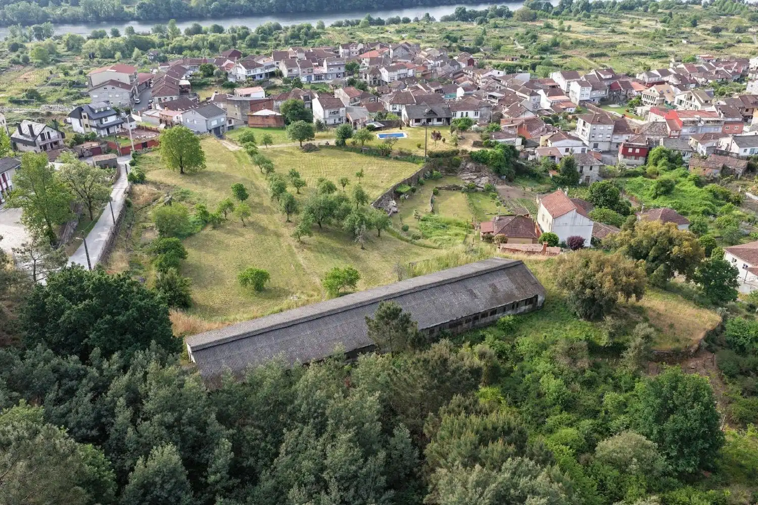 Land for sale in Ribadavia
