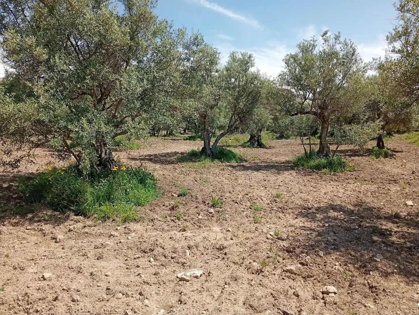 Terreni e lotti in vendita a Villanueva de la Vera, imagen 35