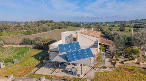 Foto 5 de Finca rústica en venta en Polígono Polígono 11 Parcela 21, Sineu, Illes Balears