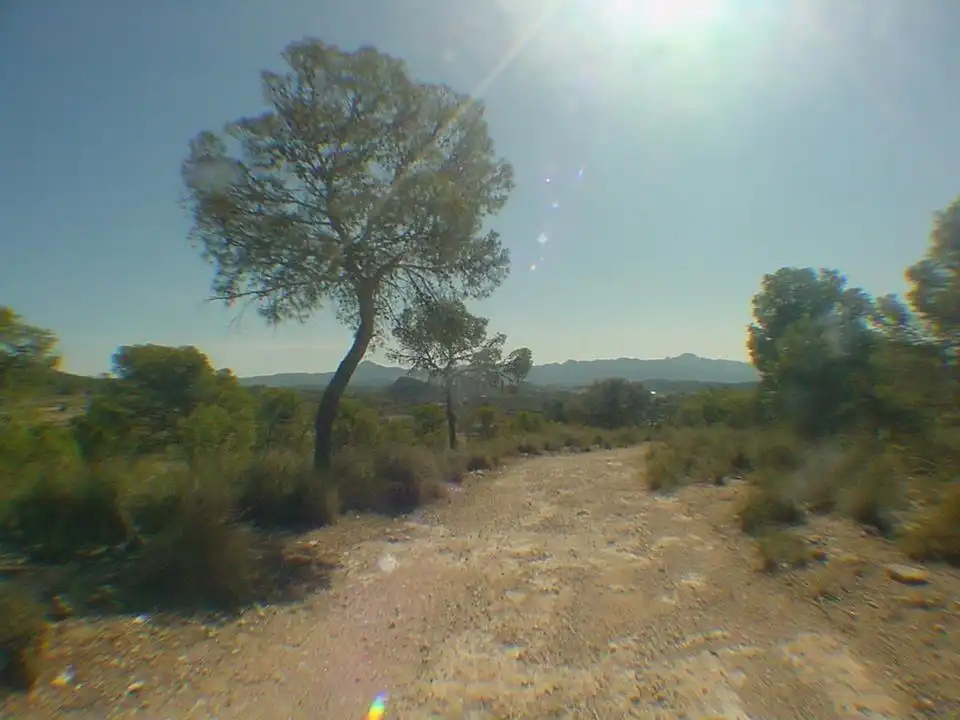 Lands and plots for sale in Abanilla, imagen 10