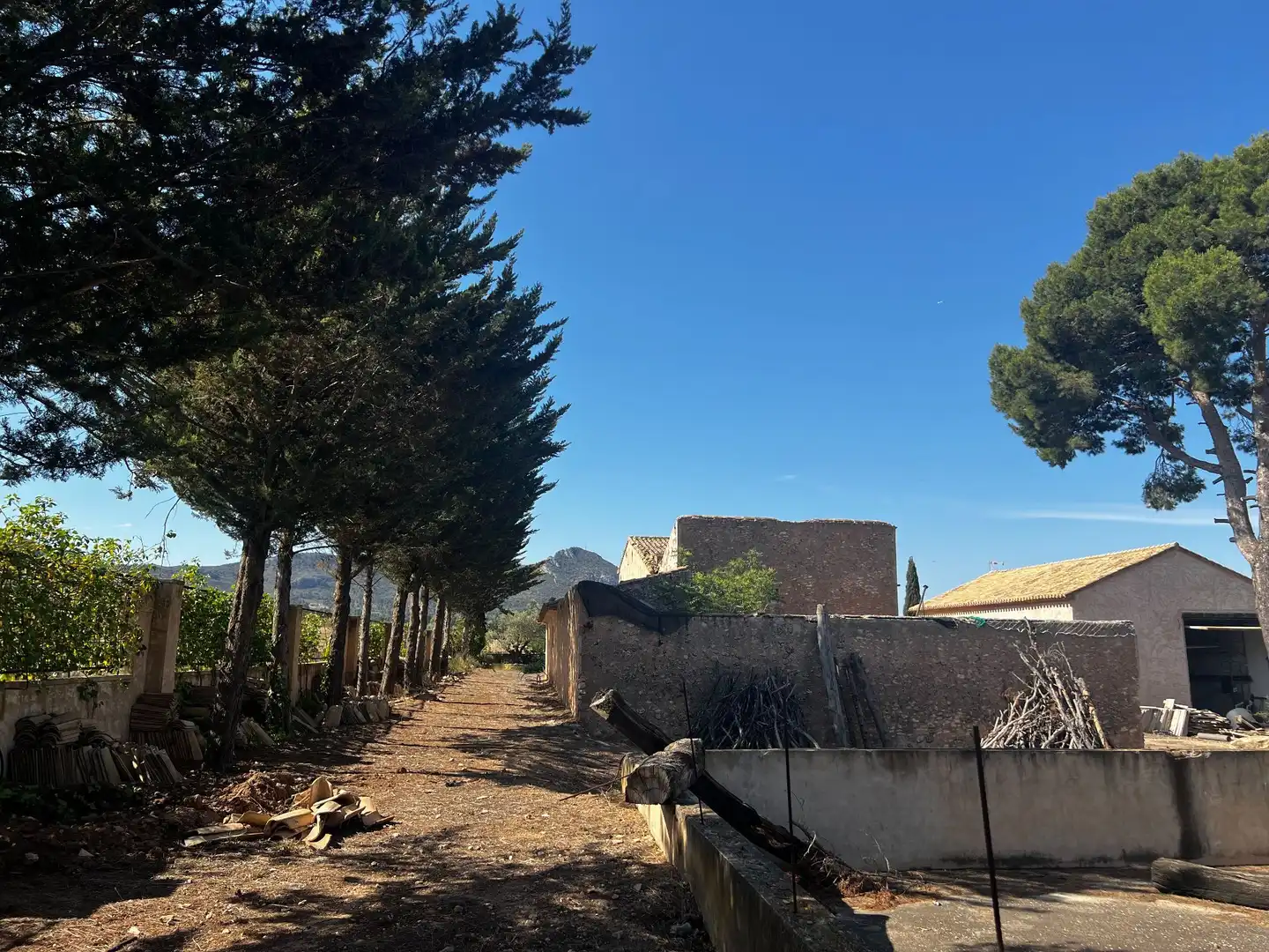 Vista exterior de Finca rústica en venta en Villena con Trastero
